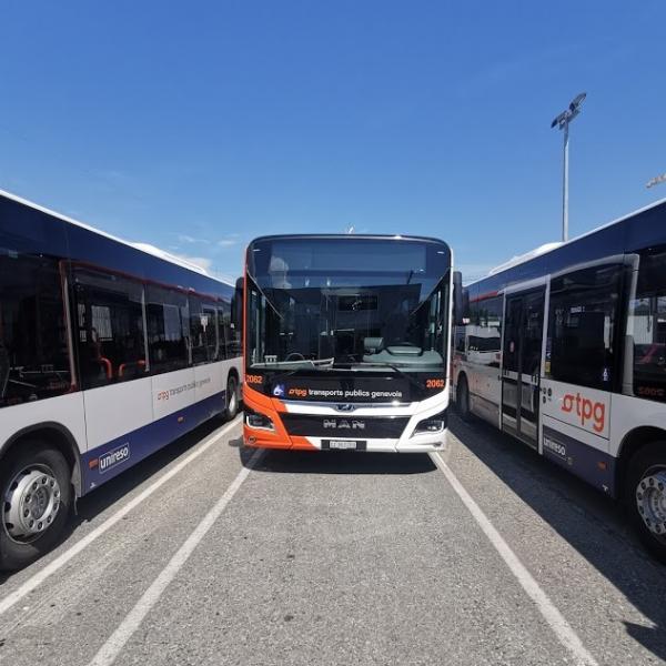 Genève Suisse Bus Mobilité HelvéCie 